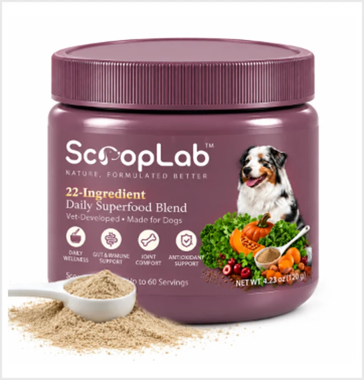 ScoopLab reusable jar, 4.23 oz / 120 g